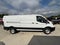 2025 Ford Transit Cargo Van Cargo Van