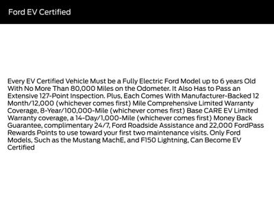 2024 Ford F-150 Lightning Platinum